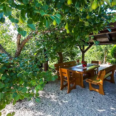 Amazing In With Wifi 포드스트라나